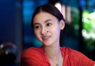 娱乐圈吃瓜张柏芝和谢霆锋,娱乐圈的恩怨情仇